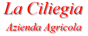 La Ciliegia Società Semplice Agricola